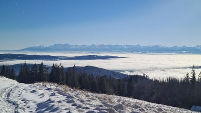 Panorama Tatr z Hali Krupowej