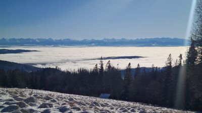 Panorama Tatr z Hali Krupowej