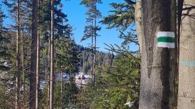 Schronisko PTTK na Hali Krupowej widziane z zielonego szlaku na wysokości ok. 1170 m n.p.m.