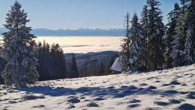 Tatry z Hali Kucałowej