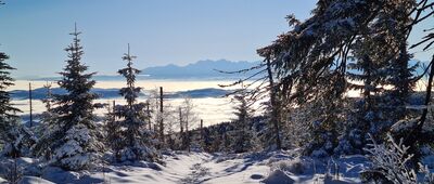 Polica [Tatry Bielskie i Wysokie z Policy]