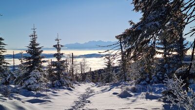 Tatry Bielskie i Wysokie z Policy