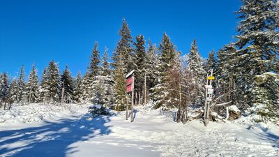 Polica 1369 m n.p.m.