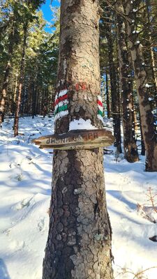 Tabliczka Jasna Grapa 1247 m n.p.m. przy czerwono-zielonym szlaku na Policę