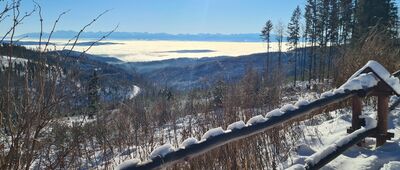 Schronisko PTTK Na Hali Krupowej [Widok na Tatry ze Schroniska PTTK na Hali Krupowej]