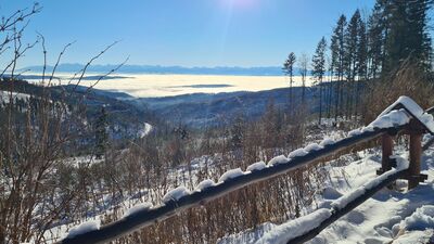 Widok na Tatry ze Schroniska PTTK na Hali Krupowej