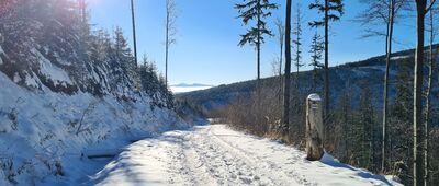 Sidzina, Wielka Polana ↔ Hala Krupowa [Czarny szlak na Halę Krupową na wysokości ok. 1040 m n.p.m. W tle najwyższy Wielki Chocz (ok. 56km w linii prostej)]