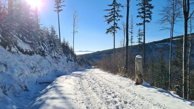 Czarny szlak na Halę Krupową na wysokości ok. 1040 m n.p.m. W tle najwyższy Wielki Chocz (ok. 56km w linii prostej)