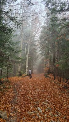Żółty szlak na Jaworzyny Ochotnickie na wysokości ok. 915 m n.p.m.