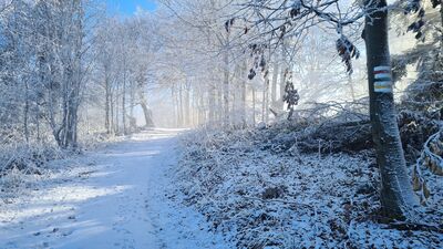 Czerwono-zielono-żółty szlak na Lubań