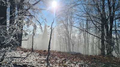 Czerwono-zielono-żółty szlak na Lubań