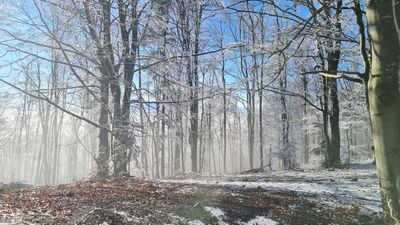 Czerwono-zielono-żółty szlak na Lubań