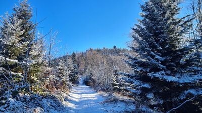 Lubań z wieżą widokową - podejście od wschodu