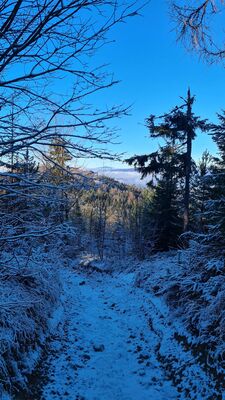 Czerwono-niebiesko-zielony szlak na Lubań
