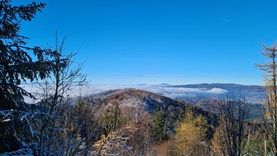Na horyzoncie Pilsko i Babia Góra widziane z podejścia na Lubań