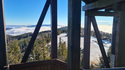 Widok na Polanę Wyrobki z wieży na Lubaniu