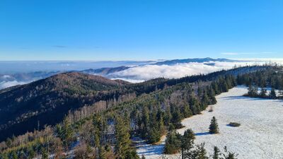 Widok w kierunku Beskidu Sądeckiego z wieży na Lubaniu