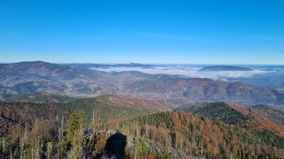 Widok w kierunku Mogielicy z wieży na Lubaniu