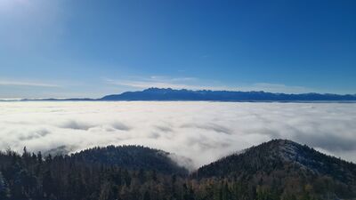 Morze mgieł i Tatry z wieży na Lubaniu