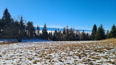 Tatry z Polany Wyrobki pod Lubaniem
