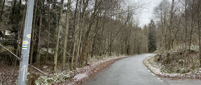 Jawornica, rozejście szlaków