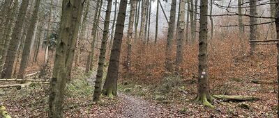 Rozdroże nad Skalnymi Wrotami