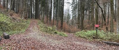 Rozdroże nad Skalnymi Wrotami