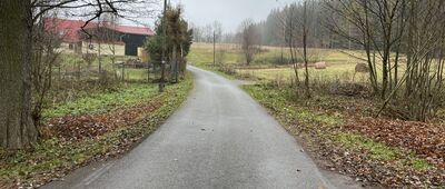 Bartnica ↔ Bartnica, brzeg lasu