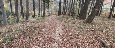 Rozejście szlaków ↔ Rozdroże nad Nową Bielawą