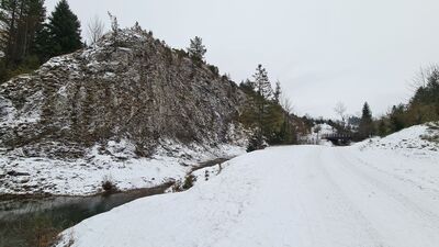 Żółty szlak wzdłuż Rezerwatu Biała Woda