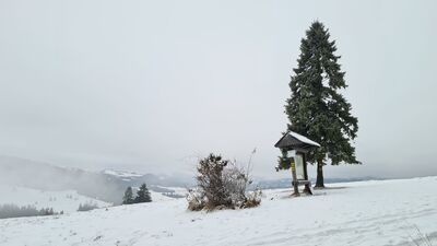 Widok z Przełęczy Rozdziela w pochmurny grudniowy dzień