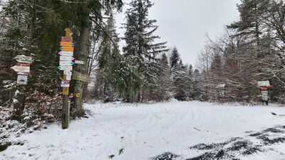 Rozejście szlaków na Przełęczy Obidza 931 m n.p.m.