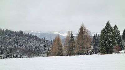 Widok w kierunku Tatr z polany nad Przełęczą Obidza