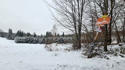 Litawcowa 952 m n.p.m.