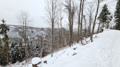 Czerwony szlak pod Ruskim Wierchem