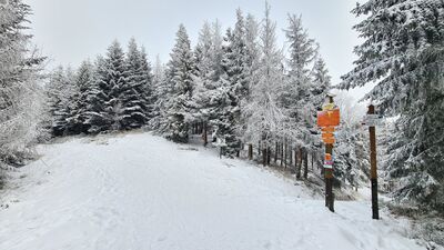 Rozejście szlaków pod Wielkim Rogaczem