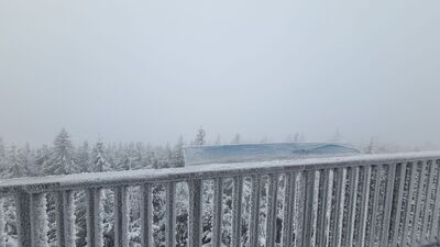 Widok na Tatry z wieży widokowej na Radziejowej