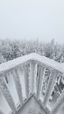 Wieża widokowa na Radziejowej 1262 m n.p.m.