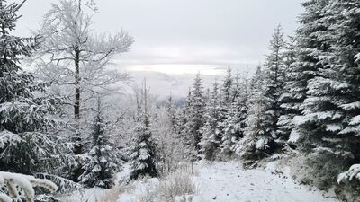Widok z czerwonego szlaku na wysokości ok. 1210 m n.p.m.