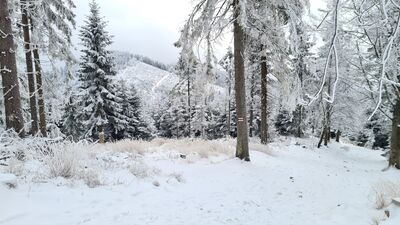 Widok z czerwonego szlaku na wysokości ok. 1150 m n.p.m.