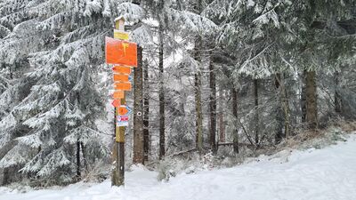 Rozejście szlaków pod Wielkim Rogaczem