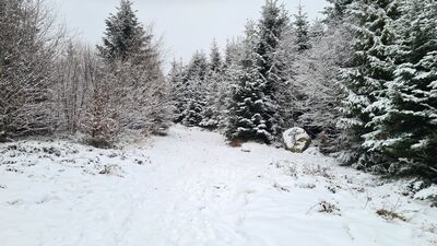 Niebieski szlak na wysokości ok. 1060 m n.p.m.