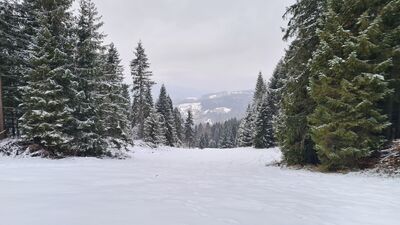 Widok z czerwonego szlaku pod Ruskim Wierchem