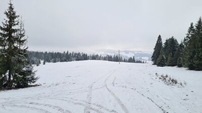 Widok z polany nad Jasielnikiem przy czerwonym szlaku