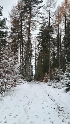 Czerwony szlak pod szczytem Flader