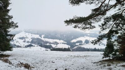 Granica Popradzkiego Parku Krajobrazowego przy czerwonym szlaku
