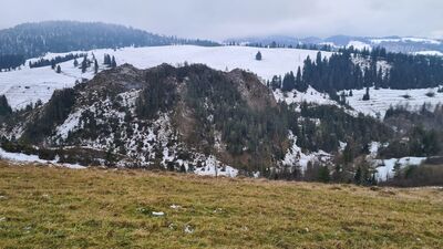 Skała Bazaltowa w Dolinie Białej Wody