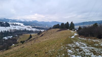 Widok z czerwonego szlaku. W tle Trzy Korony.