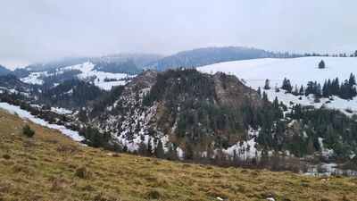 Skała Bazaltowa w Dolinie Białej Wody