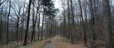 Dębowiec, kamieniołom